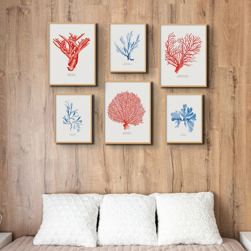 Coral Print (Red Coral No 2) - Unframed