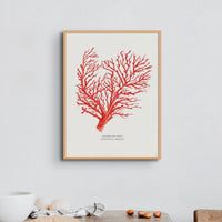 Coral Painting (Red Coral No 2) - Framed