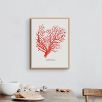 Coral Painting (Red Coral No 2) - Framed