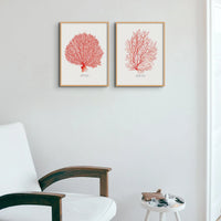 set of two framed coral art prints on wall above chair and side table - framed coral wall art framed in natural wooden frames