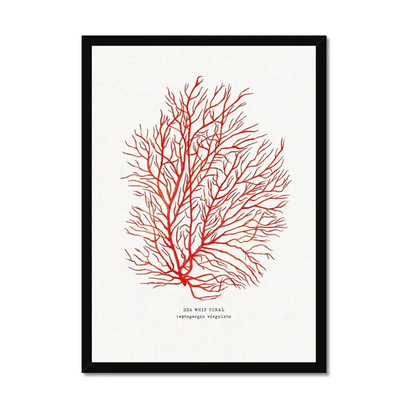 Hand painted Coral Print (Red Coral No 3) - Framed
