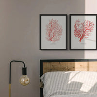 Coral Print (Red Coral No 3) - Framed