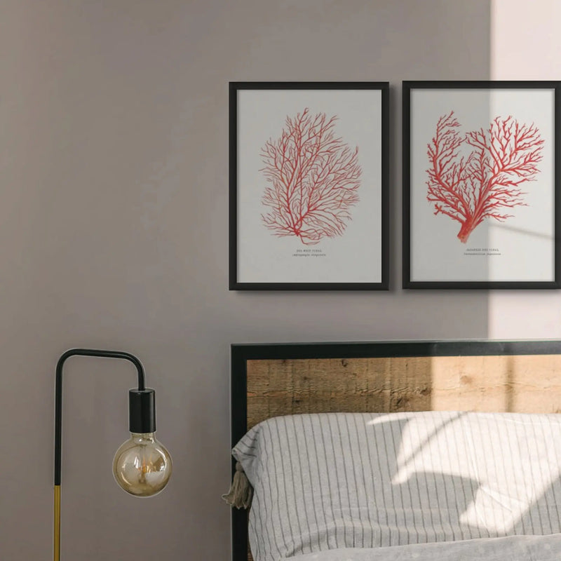 Coral Print (Red Coral No 3) - Framed