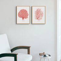 Coral Print (Red Coral No 3) - Framed