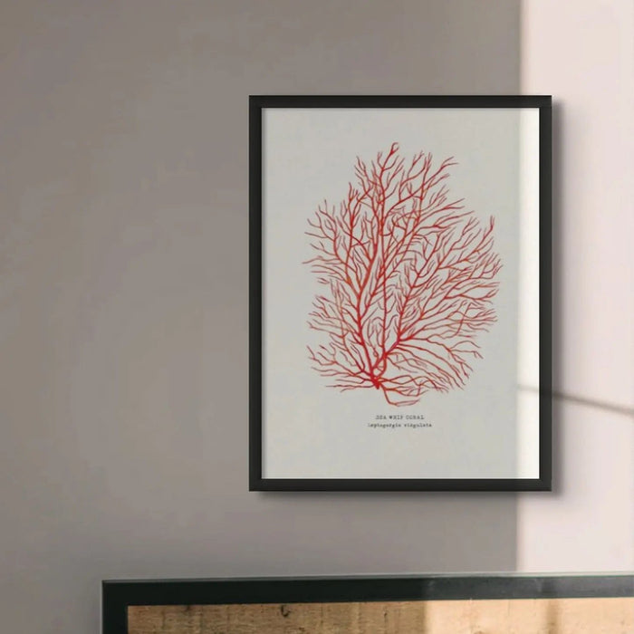 Coral Print (Red Coral No 3) - Framed
