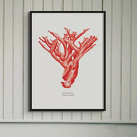 Coral Print (Red Coral No 4) - Unframed
