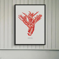 Coral Wall Art Print in living room (Red Coral No 4) - Framed