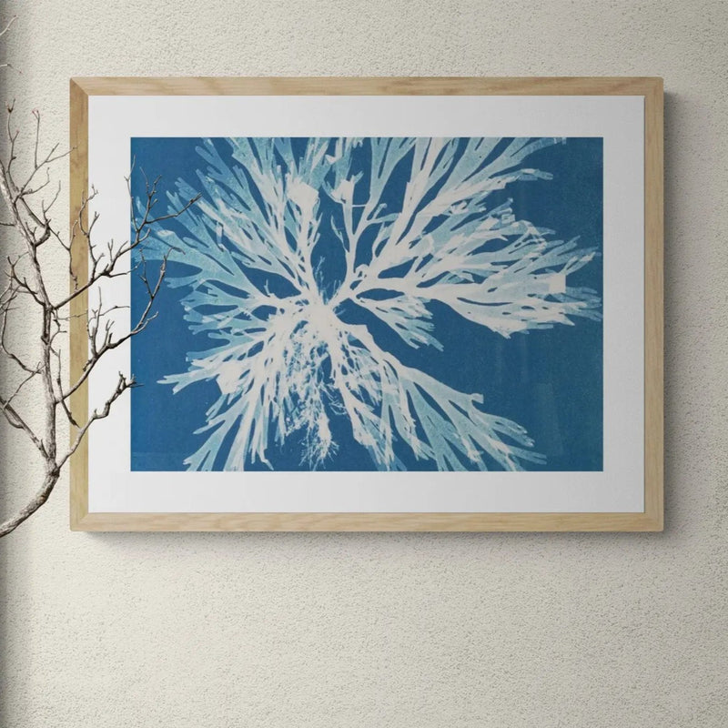 Cyan Algae: Vintage Seaweed Print - Unframed - Beach House Art