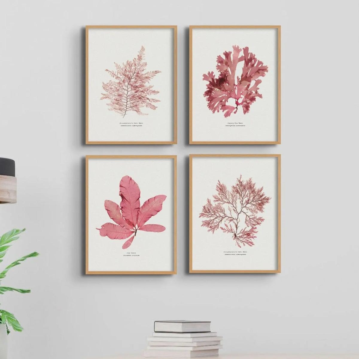Seaweed Print Wall Art (Fern Weed No2) - Framed - Beach House Art