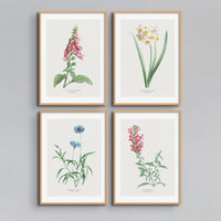 Set of four framed vintage floral paintings - set of flower prints