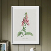 a beautiful vintage flower print of foxgloves in botanical art. It comes framed and would make a lovely addition to any home decor.