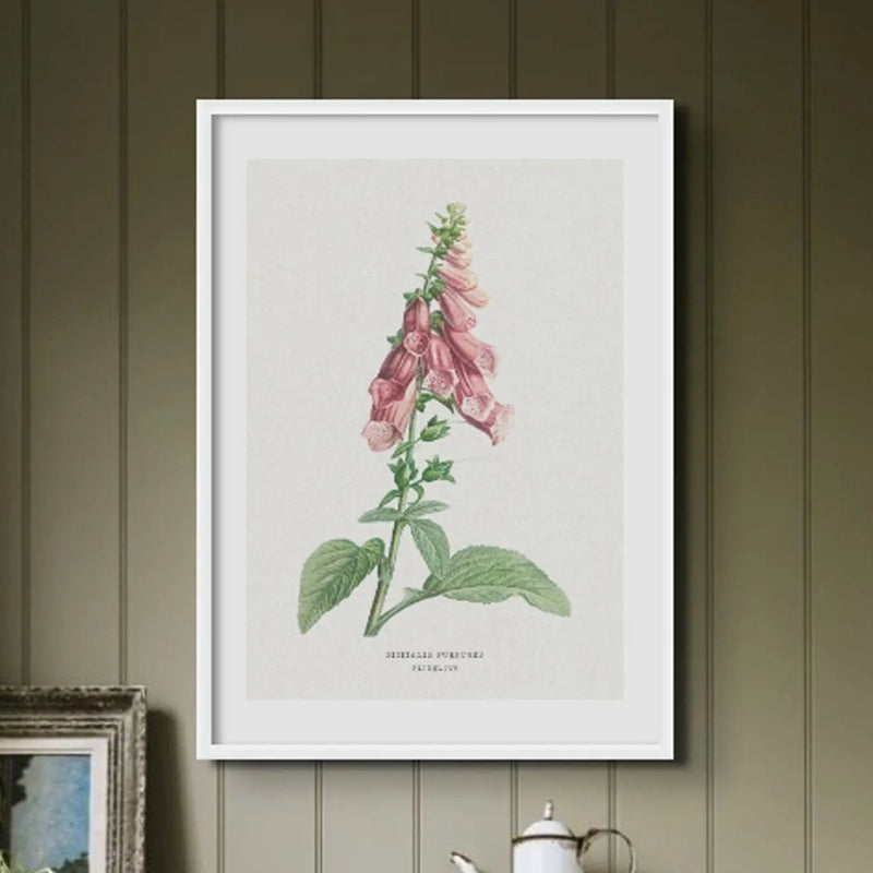 a beautiful vintage flower print of foxgloves in botanical art. It comes framed and would make a lovely addition to any home decor.