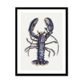 watercolour painting of a blue lobster in black frame