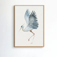 Heron Dancing Print | Vintage Bird Art Print - Framed Heron Wall Art