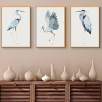 Heron Resting | Vintage Bird Art Print - Framed Heron Wall Art