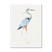 Heron Walking Print | Heron Painting - Vintage Bird Art - Framed Wall Art 