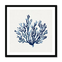 This artwork features a lovely indigo shell art print, beautifully framed for display on any wall