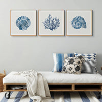 Scallop Shell Art Print, featuring stunning watercolour shell art painting. This beautiful piece is elegantly framed in a natural wood frame to enhance its aesthetic appeal. Perfect for adding a touch of coastal charm to any space.