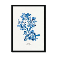 Beach-inspired wall art featuring a framed watercolour print of indigo seaweed wall art