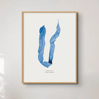 Indigo Seaweed Print Wall Art (Dabberlocks) - Unframed - Beach House Art