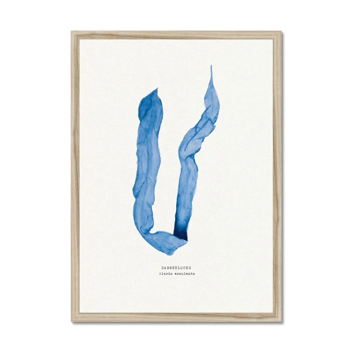 Indigo Seaweed Print Wall Art (Dabberlocks) - Framed - Beach House Art