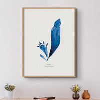 Indigo Seaweed Print Wall Art (Dulse No.3) - Framed - Beach House Art