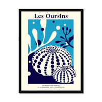 Les Oursins - Graphic Wall Art - Framed - Beach House Art