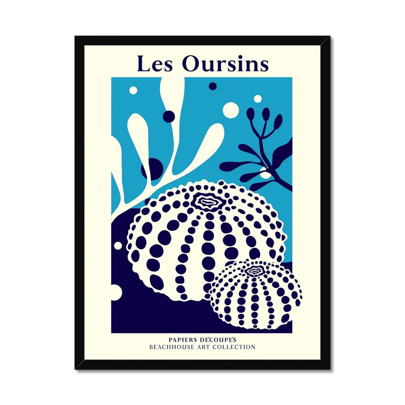 Les Oursins - Graphic Wall Art - Framed - Beach House Art