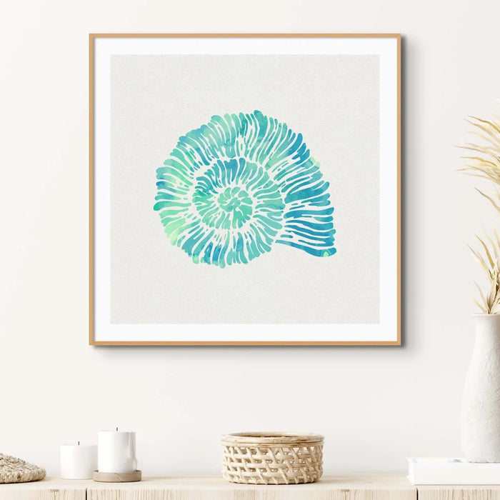 Opal Spiral Shell Art Print | Watercolour Shell Art Print - Framed Shell Wall Art