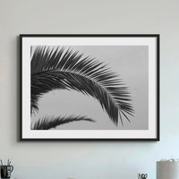 black and white beach art photograph of a palm tree frond in a black frame above a console table - beach house art