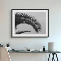 black and white beach art photograph of a palm tree frond in a black frame above a console table - beach house art