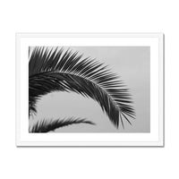 black and white beach art photograph of a palm tree frond in a white frame - beach house art