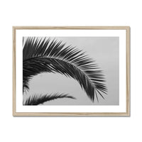 black and white beach art photograph of a palm tree frond in a natural frame - beach house art