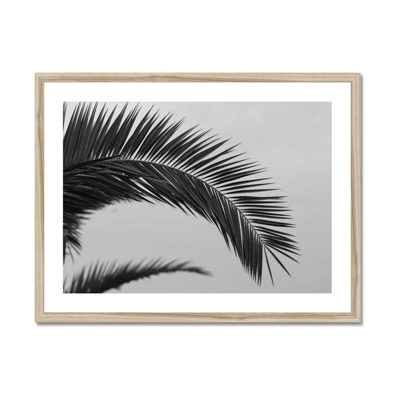 black and white beach art photograph of a palm tree frond in a natural frame - beach house art
