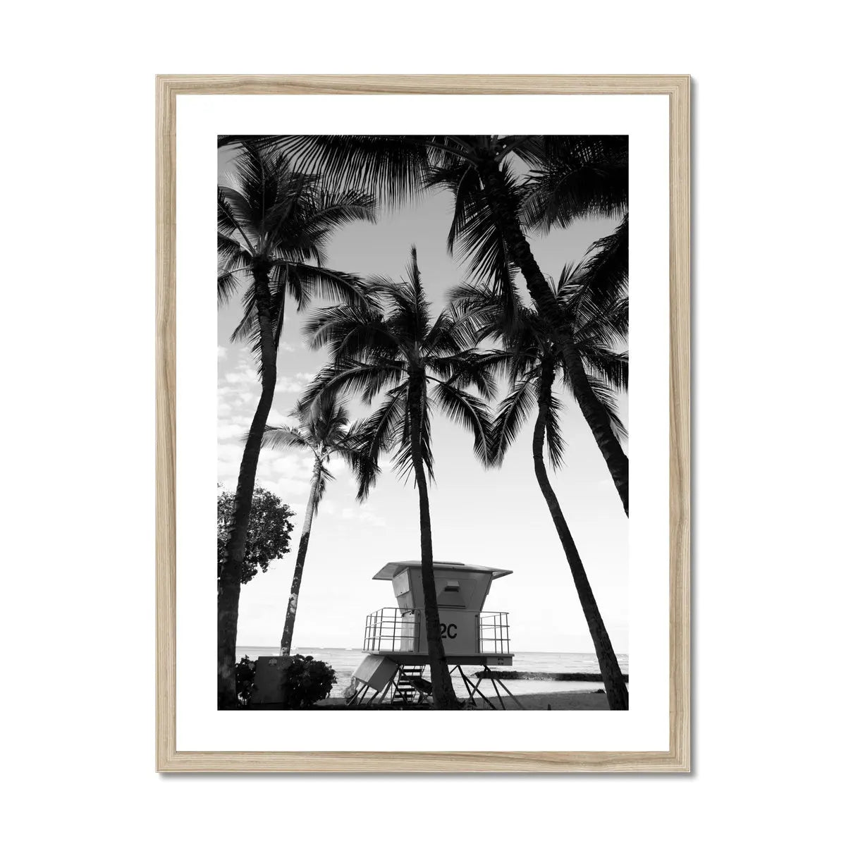 black & white beach art photograph of a life savers cabin in a palm tree grove in a natural frame - beach house art