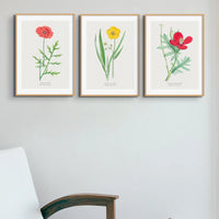 Poppy Painting | Vintage Flower Print | Botanical Art - Framed Floral Wall Art