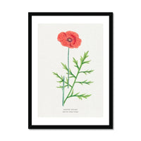 Poppy Painting | Vintage Flower Print | Botanical Art - Framed Floral Wall Art