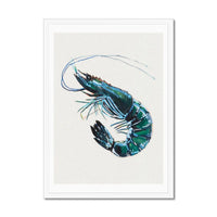 Prawn Painting Print | Watercolour Shellfish Art - Framed Wall Art