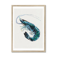 Prawn Painting Print | Watercolour Shellfish Art - Framed Wall Art