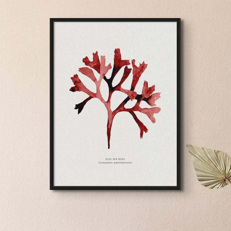 Watercolour Seaweed Print Wall Art (Rosy Fan Weed) - Framed Seaweed Painting in Red