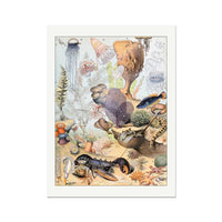 Sea Creatures (Coral) - Unframed Print Wall Art 18.00 Beach House Art