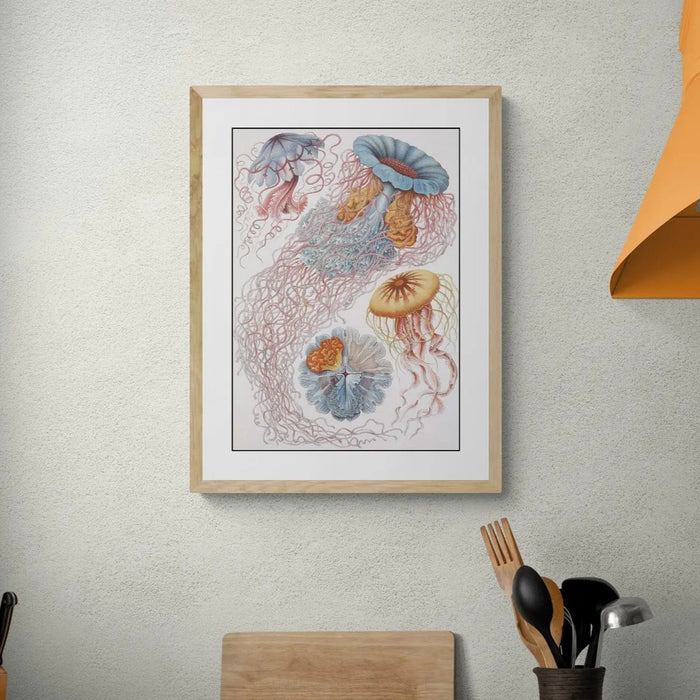 Sea Creatures (White) - Unframed Vintage Print Wall Art -  Beach House Art