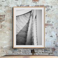 Skyward Sails (Black & White Photography) - Unframed - Beach House Art