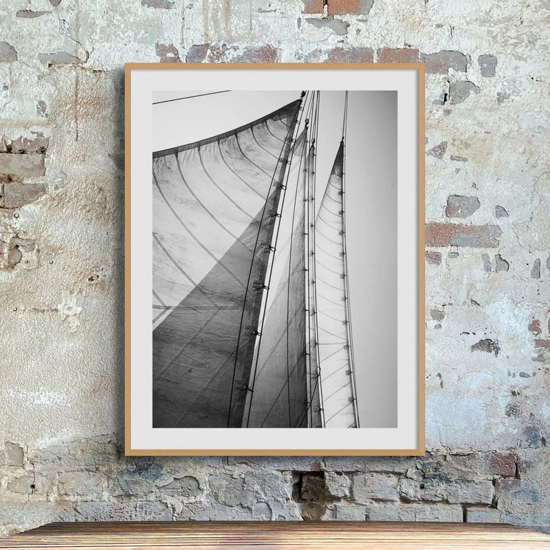 Skyward Sails (Black & White Photography) - Unframed - Beach House Art