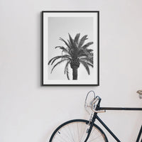 black & white photograph of a palm tree against a grey sky in a black frame above a black bicycle - beach house art