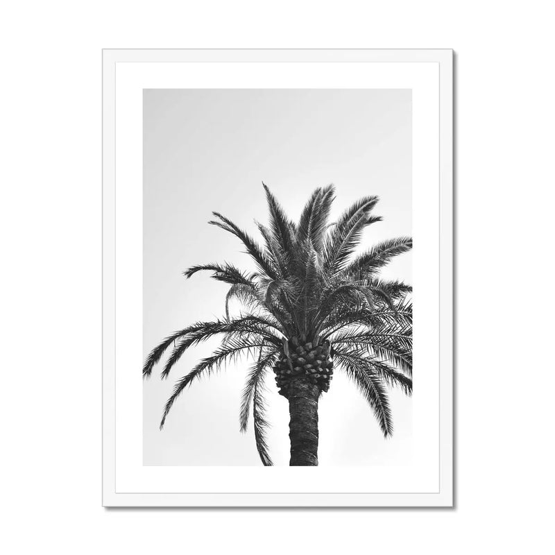 black & white photograph of a palm tree against a grey sky in a white frame - beach house art