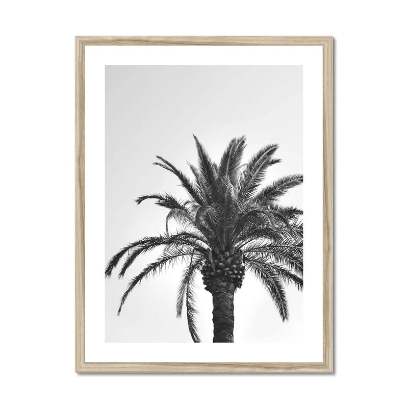 black & white photograph of a palm tree against a grey sky in a natural frame - beach house art