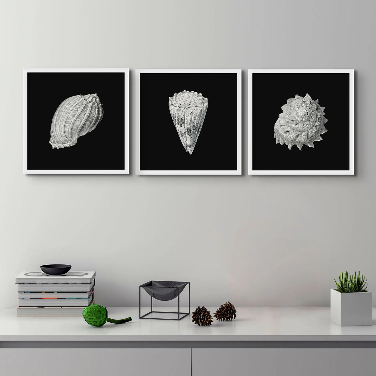 Vintage Harpa Shell Print | Black & White Art | Shell Art Print - Unframed Wall Art