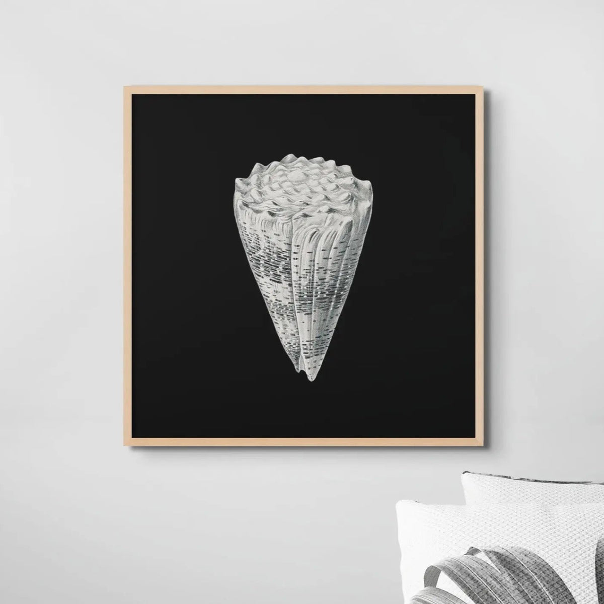 Vintage Imperial Cone Shell | Black & White | Shell Wall Art Print - Framed Wall Art 