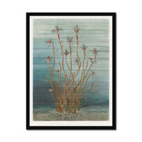 Vintage Marine Botanical - Framed Print Wall Art 45.00 Beach House Art